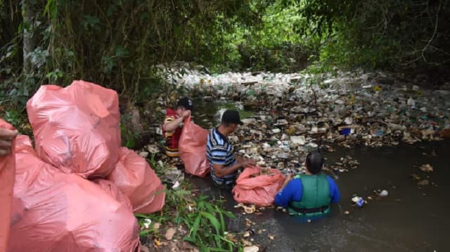 Voluntarios limpian arroyo Tapiracuai para mejorar su ecosistema