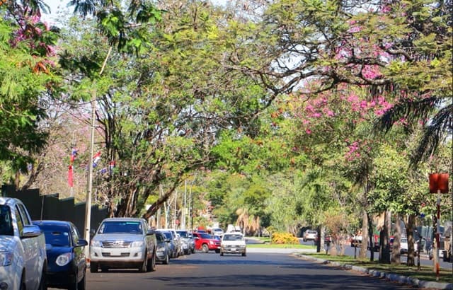 Sábado con hasta 40 °C y domingo con llegada de frente frío