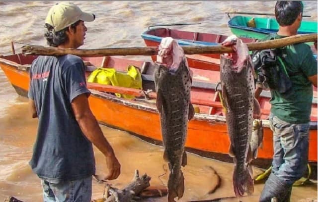 MADES lanza oficialmente la veda pesquera 2024