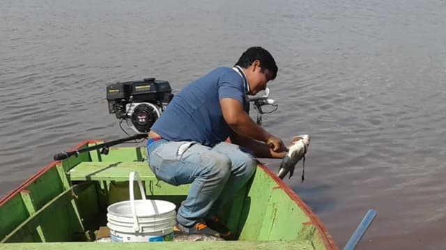 Ofrecen últimos pescados en Remanso antes de la veda