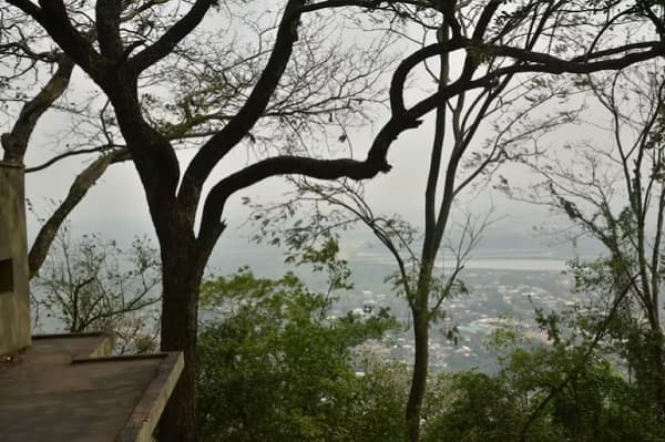 Alerta: Aire insalubre por incendios forestales