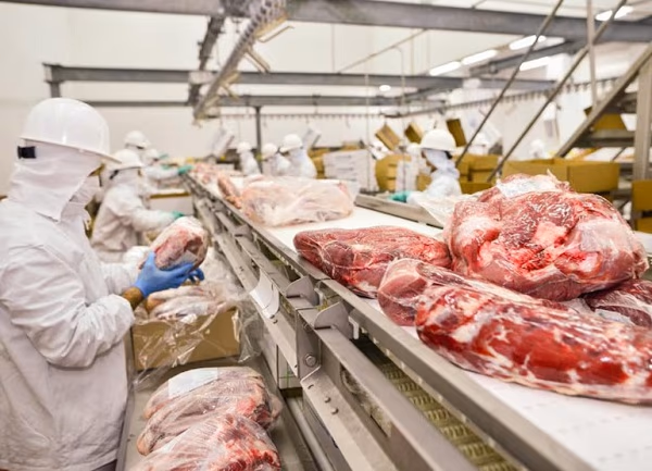 Japón auditará a Paraguay para avanzar en exportación de carne