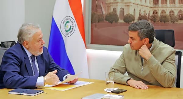 Diputados convocarán al titular del IPS por compra de bonos y caída del sistema