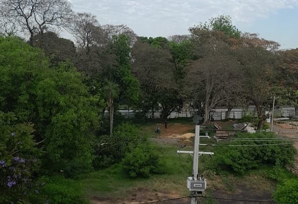 Inicia tala en el “Bosque de San Vicente” pese a protestas