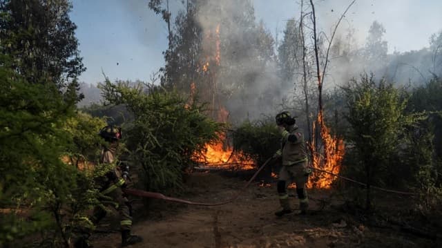 Chile en alerta roja por incendios forestales en cinco comunas