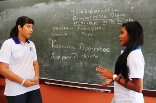 Preocupación por la enseñanza del guaraní en el país
