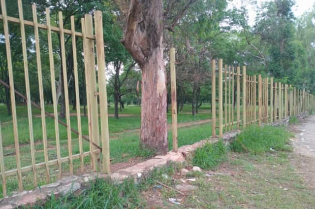 Inseguridad en el Jardín Botánico preocupa a vecinos y visitantes