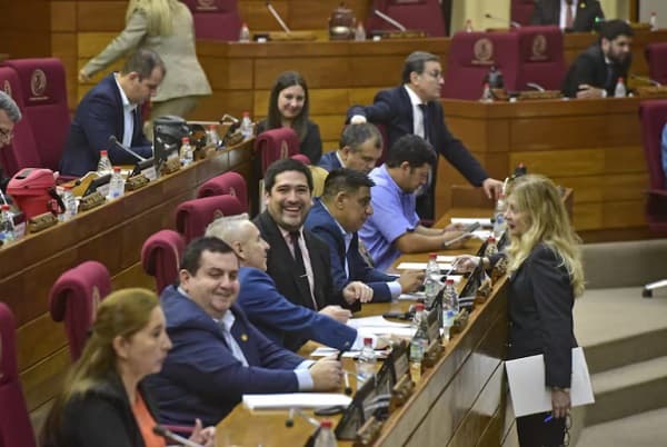 Diputados decidirán hoy sobre vales de combustible y seguro VIP