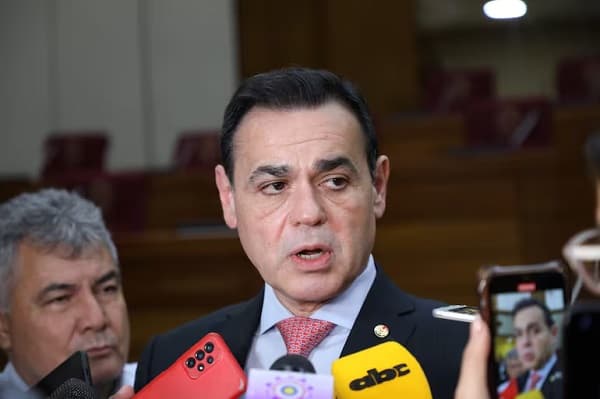 Paraguay evalúa retirar candidatura a OEA por rechazo a ley anti ONG