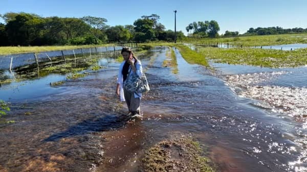 Tormentas fuertes llegarán a Ñeembucú esta tarde