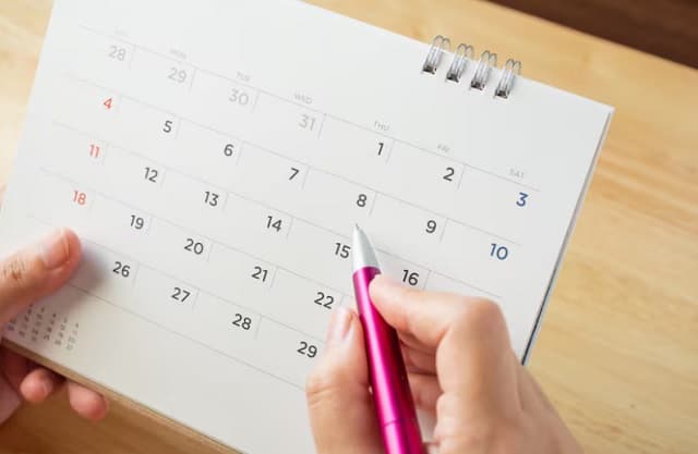 Feriados 2025 en el país: calendario completo de días festivos