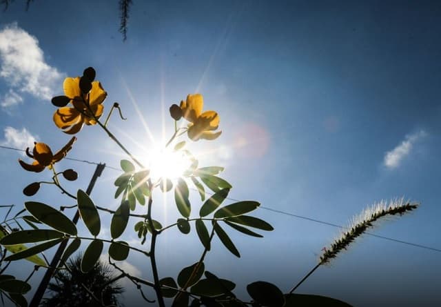 Clima caluroso y nublado para este jueves en todo el país