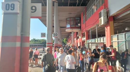 ¿Cómo y dónde denunciar irregularidades en el transporte público?