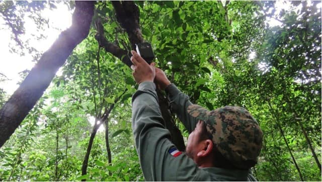 IA impulsa conservación en la Reserva Tapytá de Caazapá