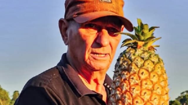 Dulces piñas de Obligado: el orgullo de Armin Purmann