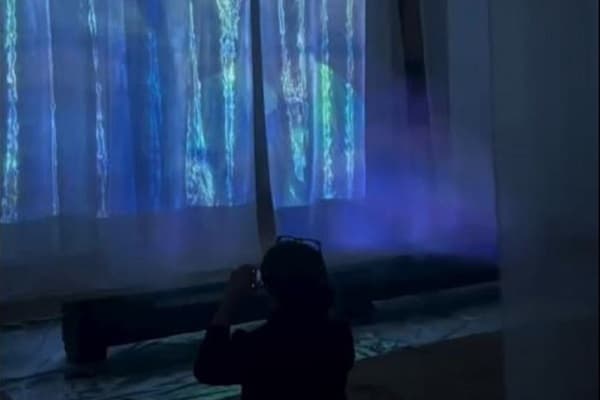 Exposición inmersiva “¿Querés conocer el mar?” llega al ICPA