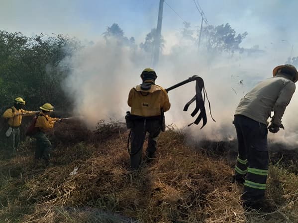 Mades reporta calidad del aire estable pese a incendios forestales