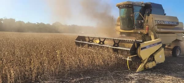 Sequía preocupa al sector agrícola y afecta cultivos claves