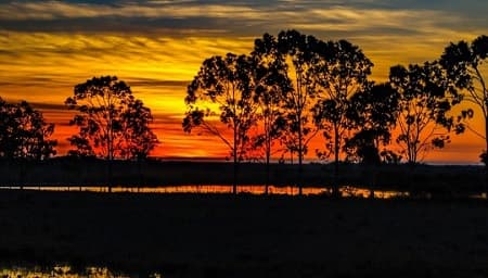 Se pronostica una semana calurosa y húmeda con vientos del norte