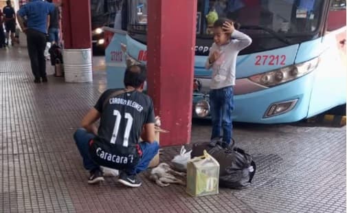 Aumentan casos de maltrato animal sin denuncias formales en el país