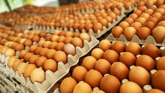 Factores climáticos y demanda disparan precio del huevo