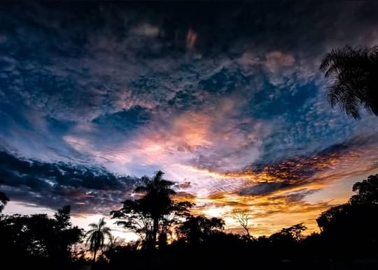 Pronóstico del tiempo: viernes cálido con lluvias dispersas en varias regiones