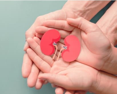 Día Mundial del Riñón: Cómo proteger la salud renal