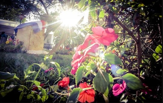 Jornada soleada y cálida en gran parte del país