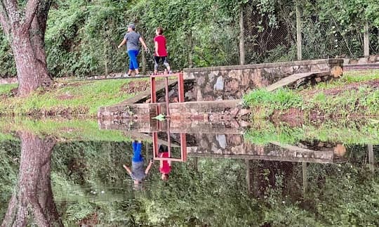 Renuevan el parque Ñu Guasu para preservar su entorno