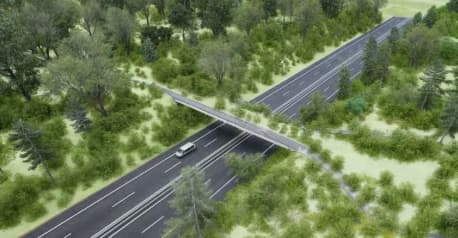 Pasos de fauna: una estrategia para proteger animales en rutas