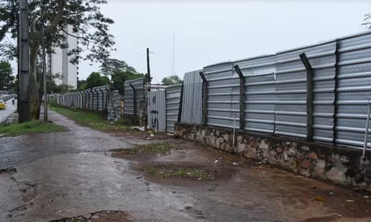 A cinco meses del derribo, Nenecho no explica tala en San Vicente