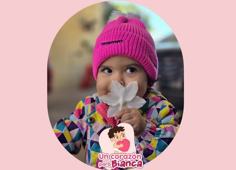 Bianca lucha por su vida: buscan corazón para una niña de dos años