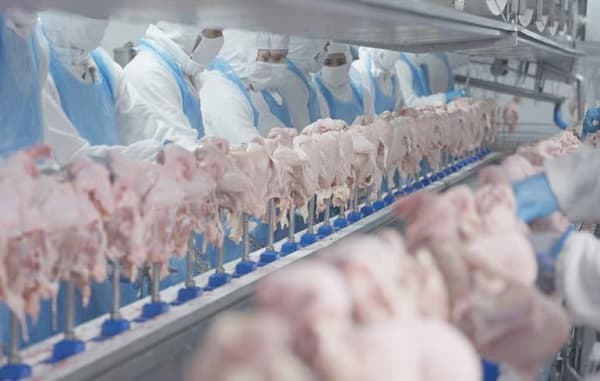 Singapur evaluará apertura de mercado cárnico a Paraguay en 60 días