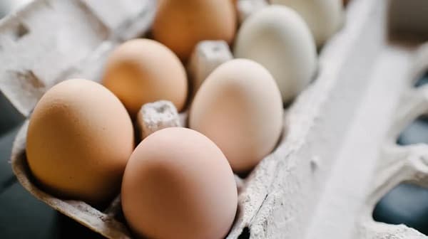 Senado convocará a titular de Sedeco ante suba del huevo