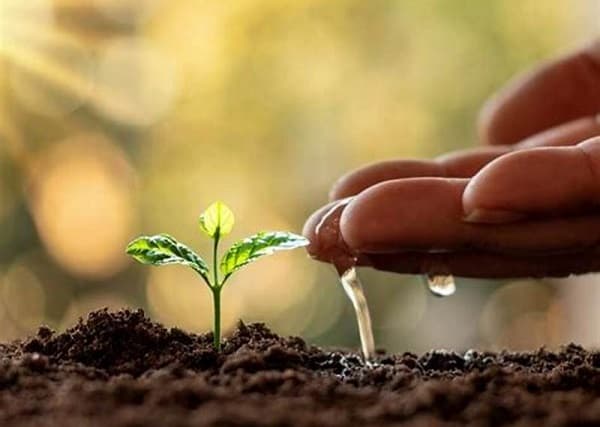 Paraguay optimiza el uso del agua en su sector alimentario