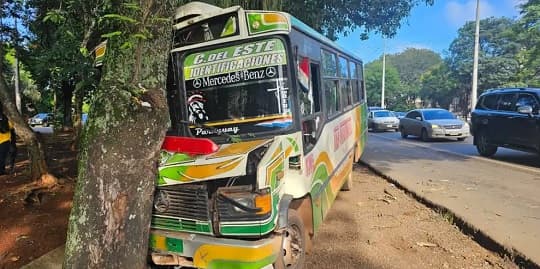 Colectivo perdió los frenos y chocó contra un árbol en Ciudad del Este: hay ocho heridos