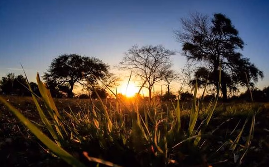Lunes caluroso con leve descenso de temperatura