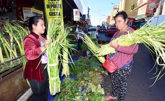 Domingo de Ramos da inicio a la Semana Santa