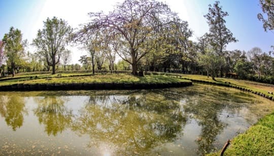 Domingo con más de 30 °C y sin lluvias en Paraguay