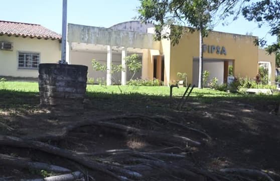 IPS denuncia penalmente a Aso de Funcionarios por evasión de aportes previsionales