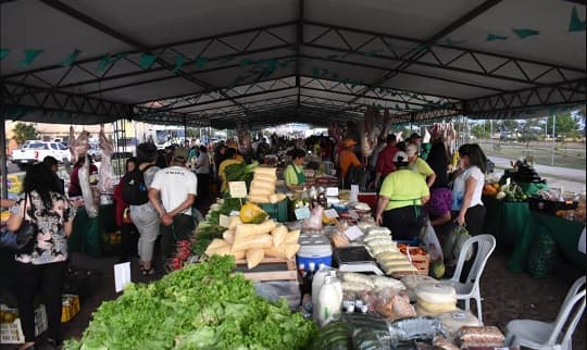 Verduras frescas y queso a mitad de precio en feria de la Costanera