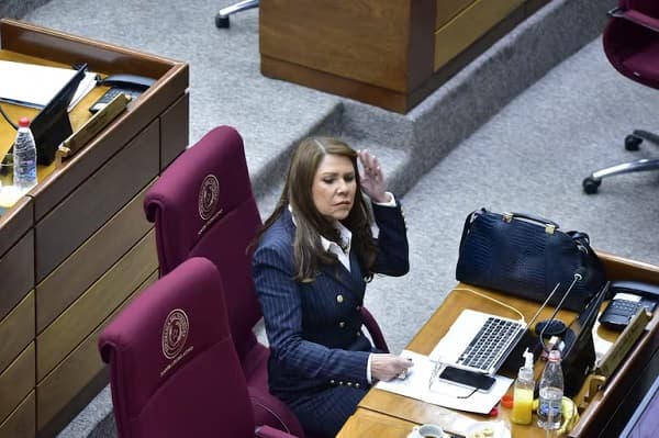 Celeste Amarilla cuestiona cambios exprés a ley electoral