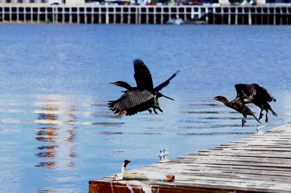 Sábado con clima cálido y vientos del norte en Paraguay