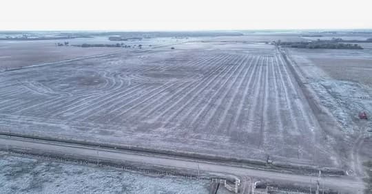 Recomiendan cuidados ante heladas en cultivos