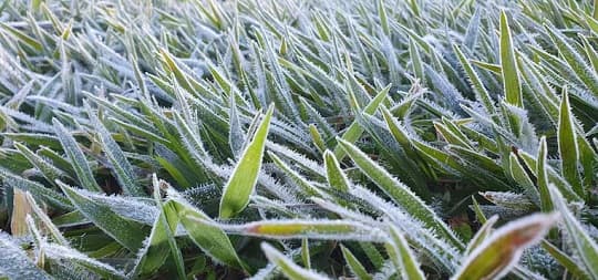 Diez zonas rompieron récords de frío en el país