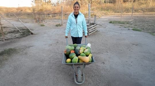 Mujeres del Chaco enfrentan al narcotráfico con desarrollo, según Vatican News
