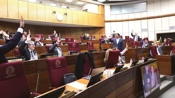 Senado aprueba ley contra mafia de pagarés