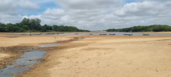 Mades suspende declaraciones de impacto ambiental a arroceros