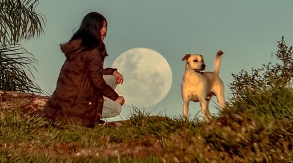 Última luna llena de otoño se observa esta noche