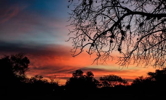 Semana inicia con amaneceres frescos y tardes cálidas